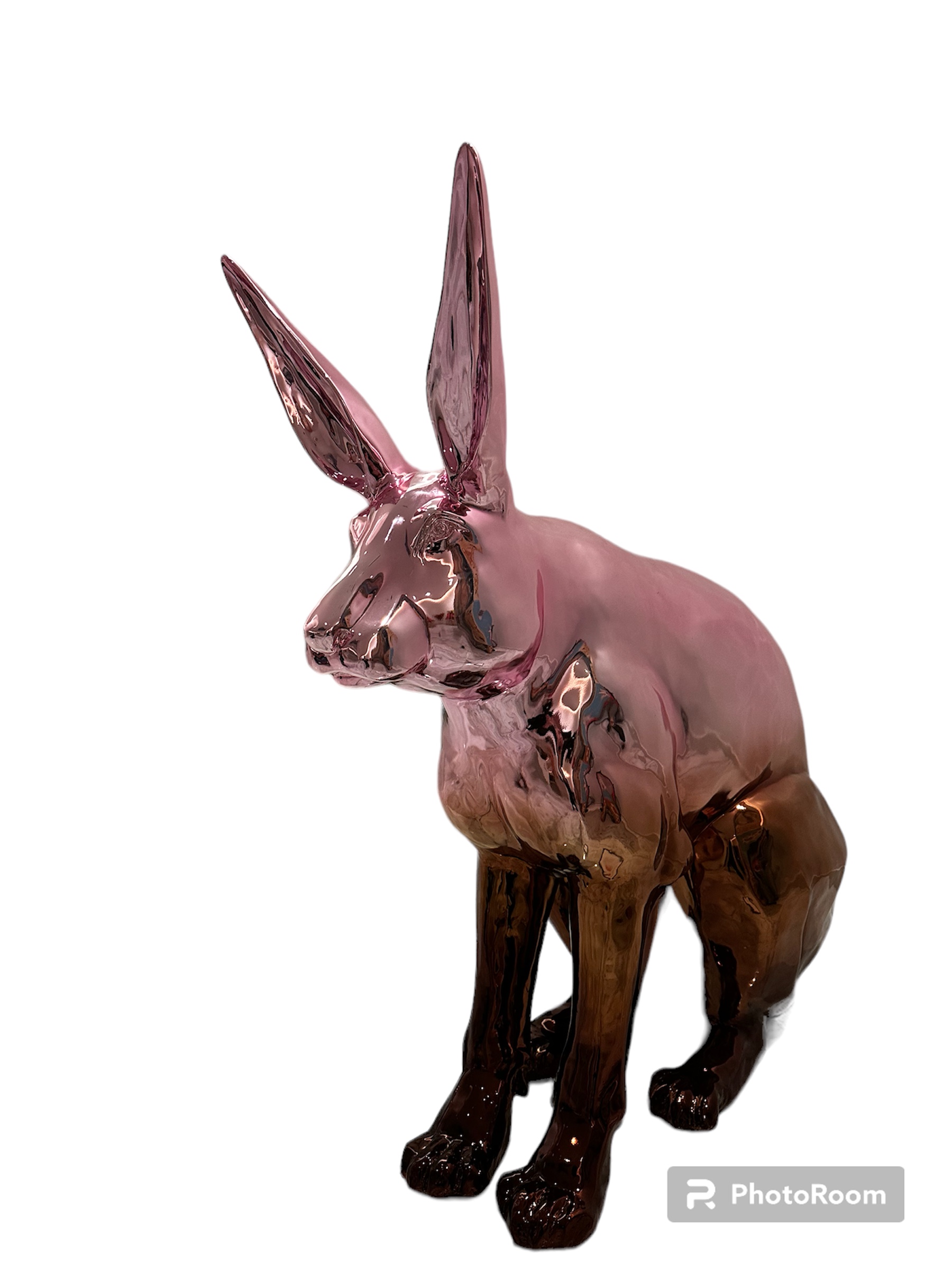 Alice - Image 4