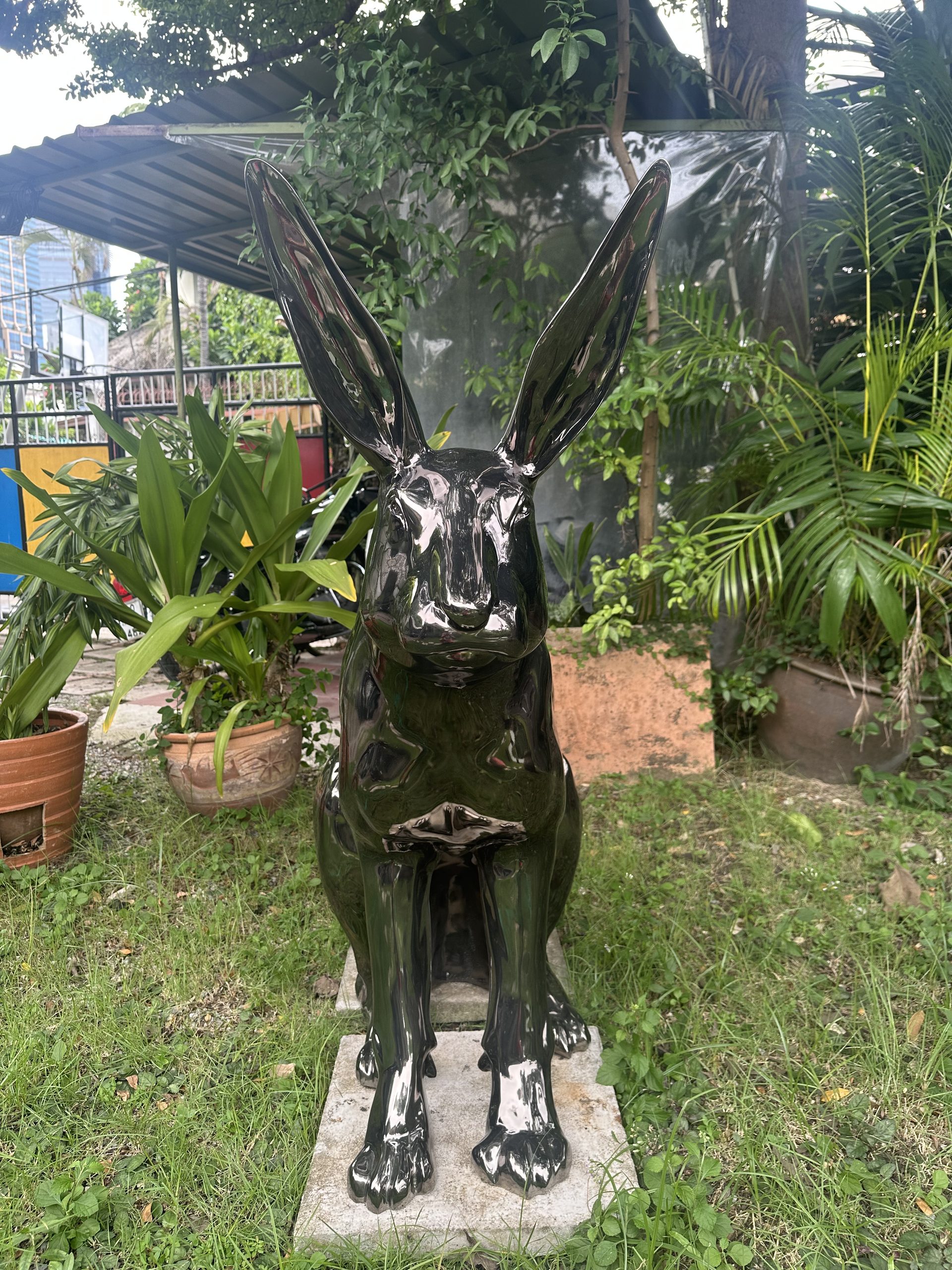Alice - Image 6